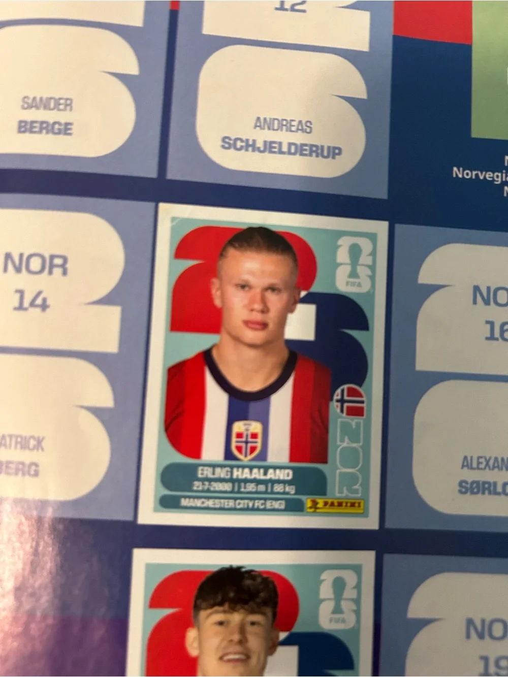 Panini World Cup 2026 Sticker Album - Multicolor with Gold Trophy